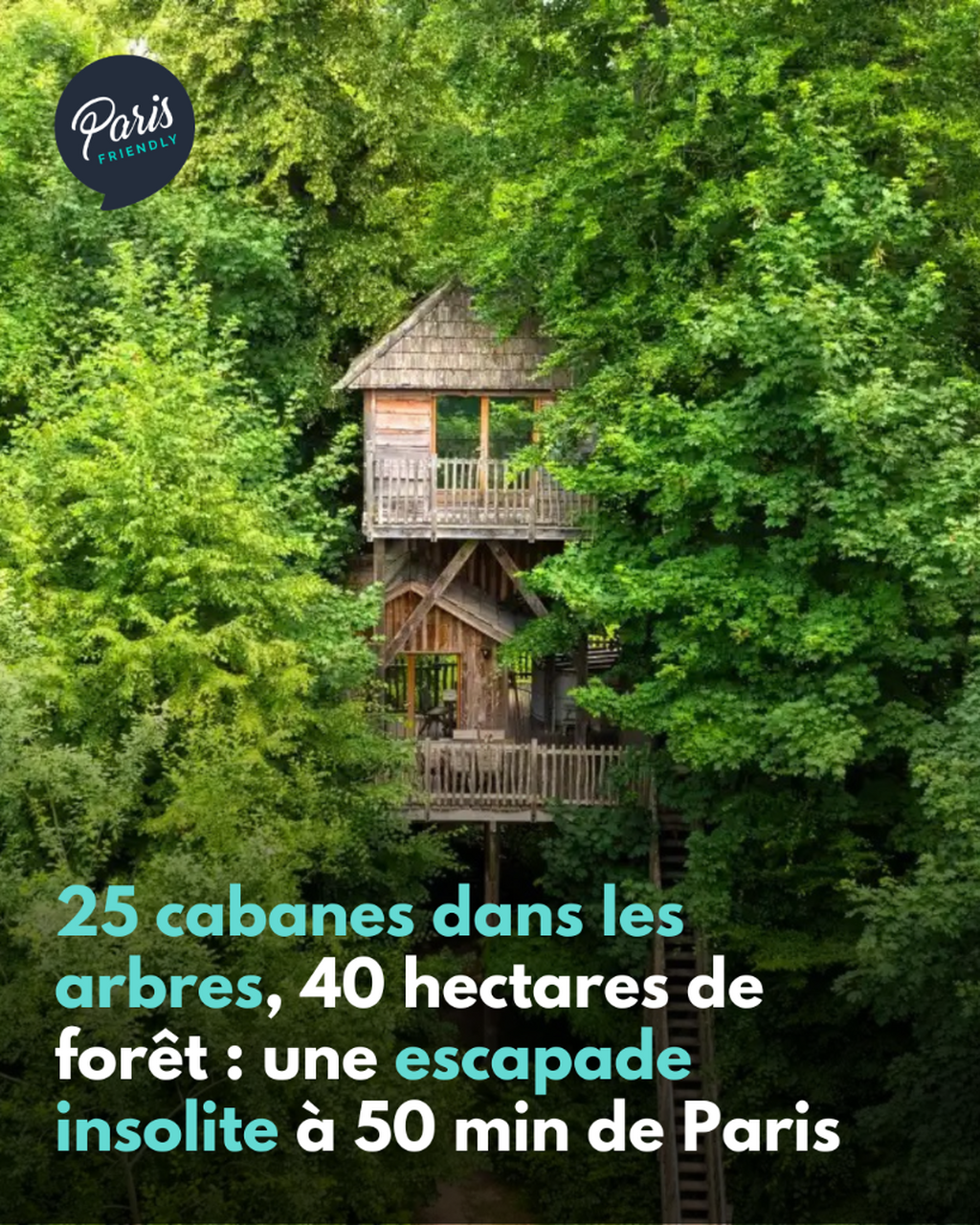 25 cabanes dans les arbres, 40 hectares de for&ecirc;t : une escapade insolite &agrave; 50 min de Paris