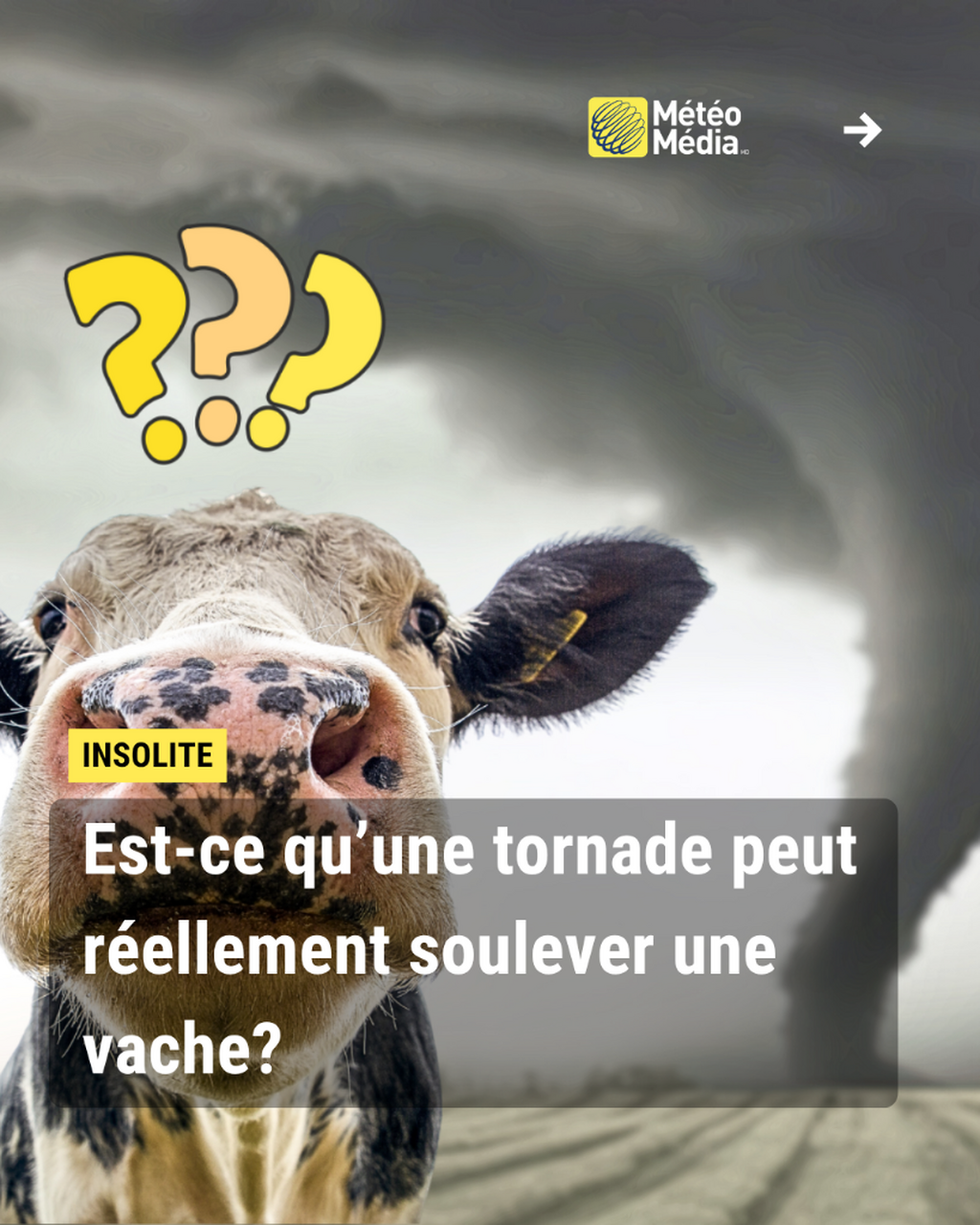Est-ce qu'une tornade peut r&eacute;ellement soulever une vache?