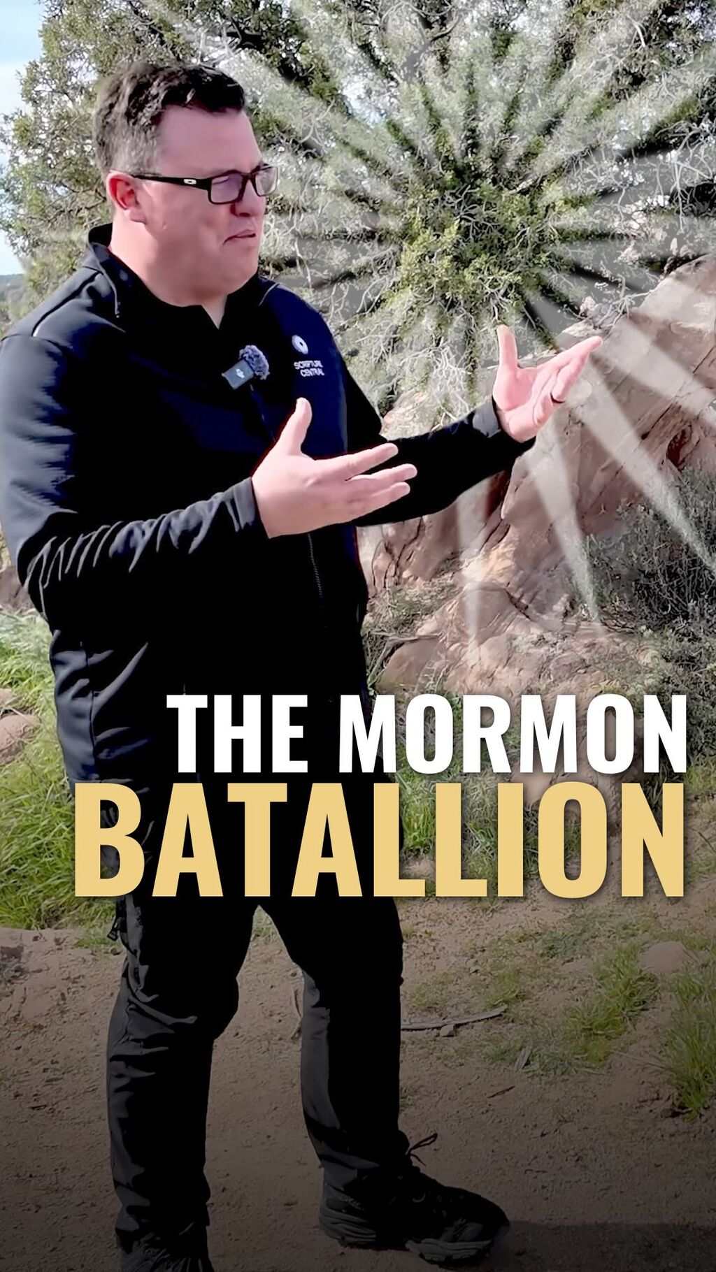 Restoration Revealed 