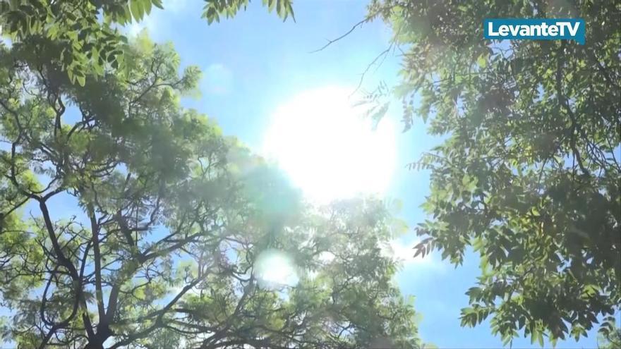 La cuarta ola de calor toma forma este mi&eacute;rcoles