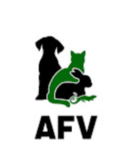 AFV YouTube