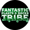 Fantastic Plants & Rocks Vol.5