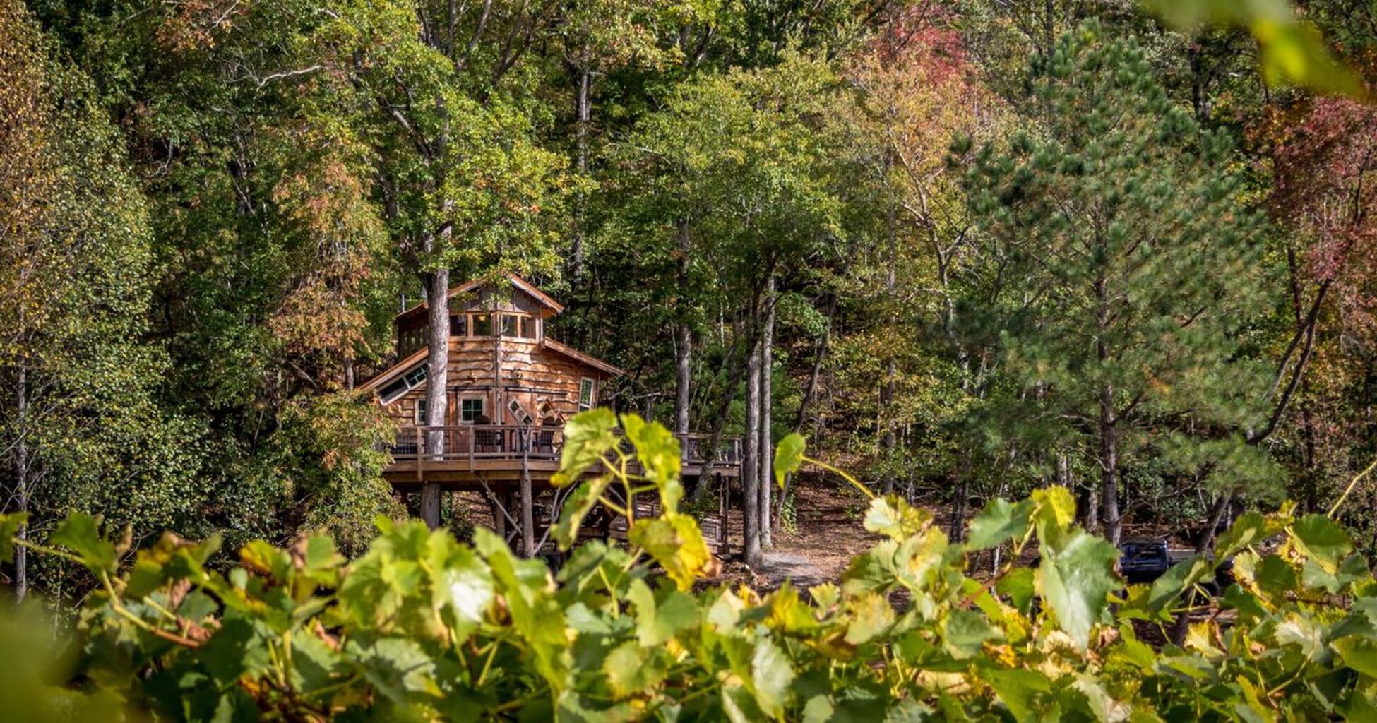 Blue Ridge Treehouse Rentals in North Georgia