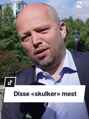 Disse &laquo;skulker&raquo; mest