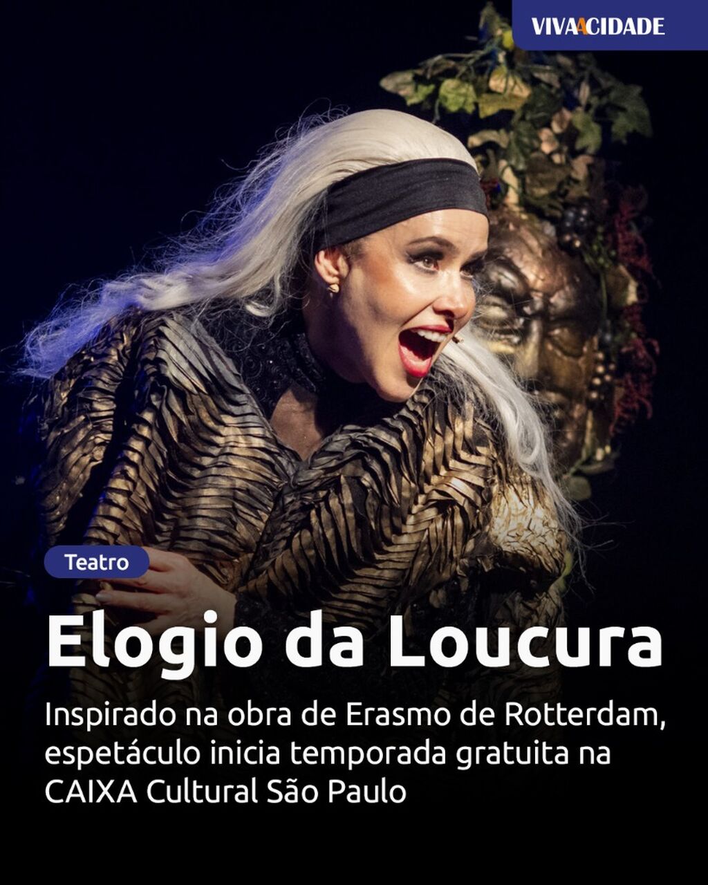 Elogio da Loucura