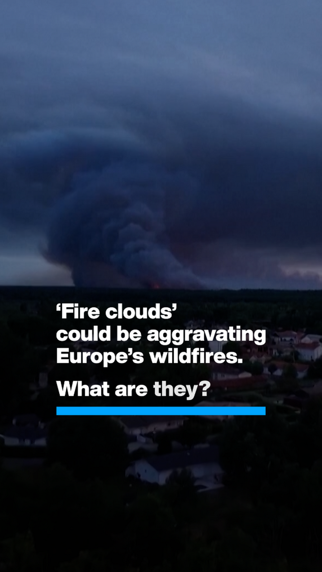 Global Wildfire Leadership Network