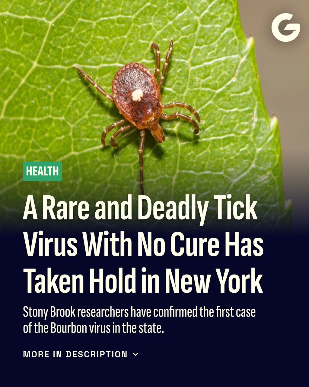 A Rare and Deadly Tick Virus With No Cure Has Taken Hold in New York