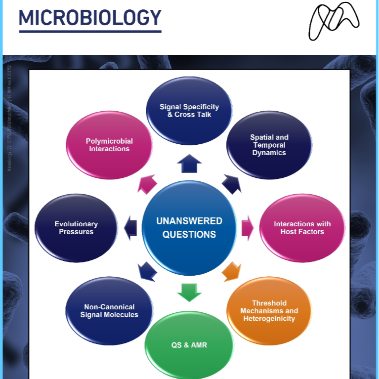 Quorum sensing perspective