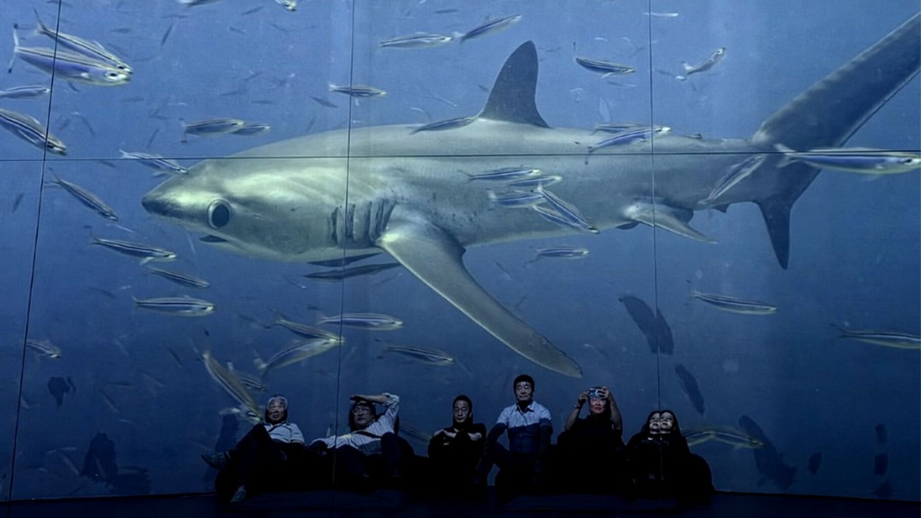 ICYMI: Philippine Diving Spots Shine in This Immersive Exhibit in South Korea