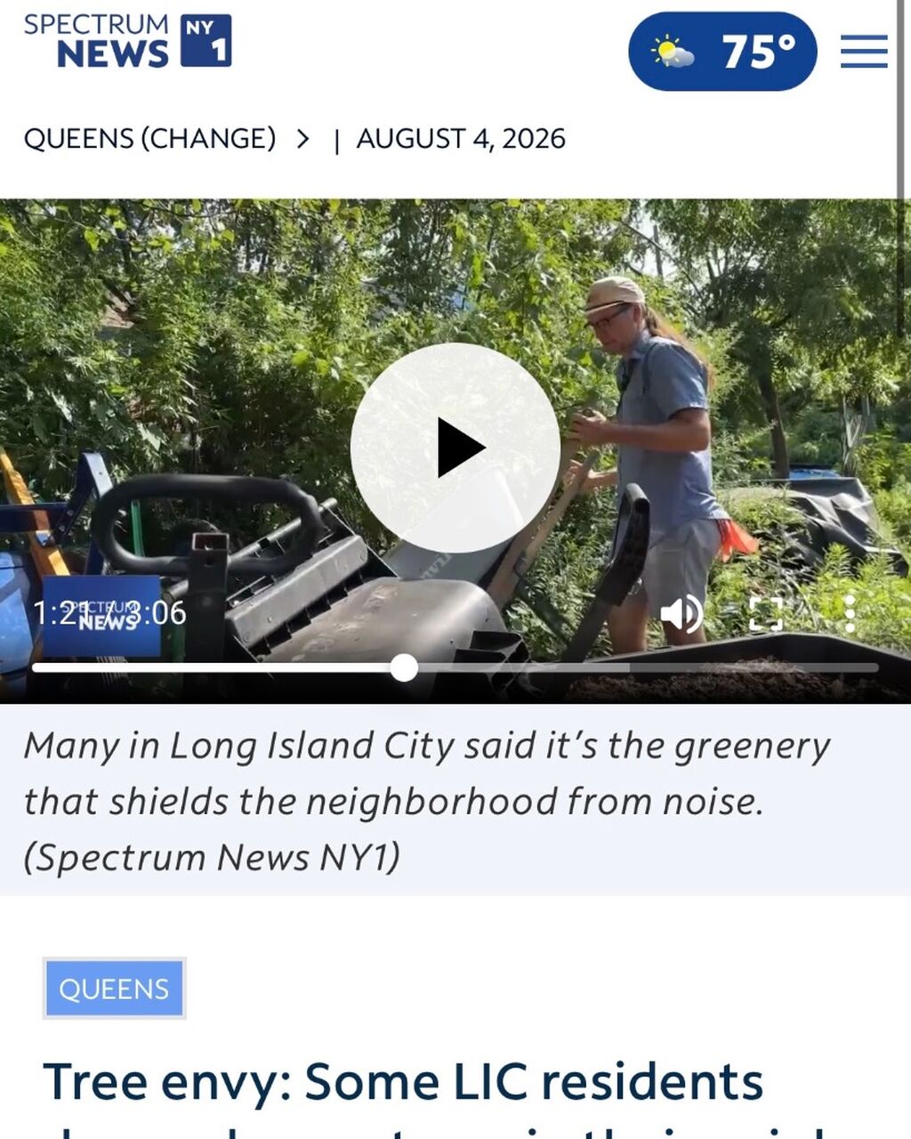 8/3 News interview abt street trees in LIC (NY1 Spectrum News)
