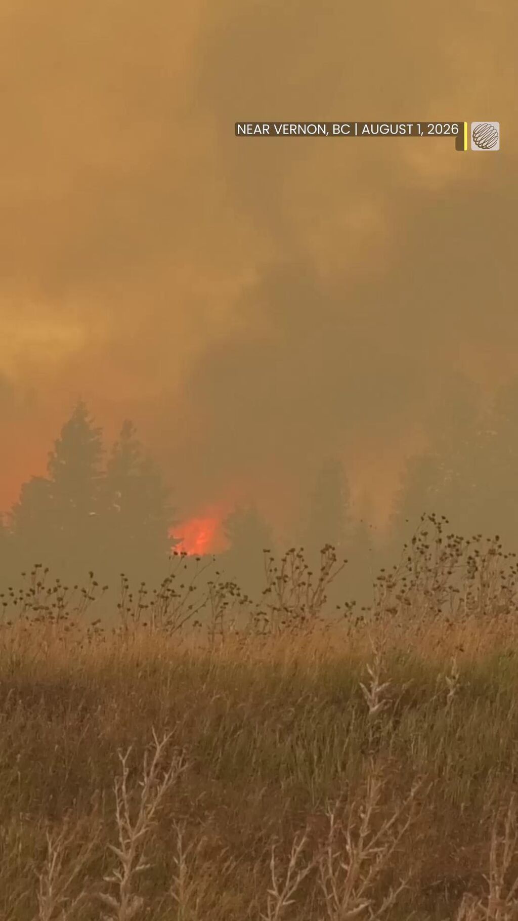 Wildfires in Canada