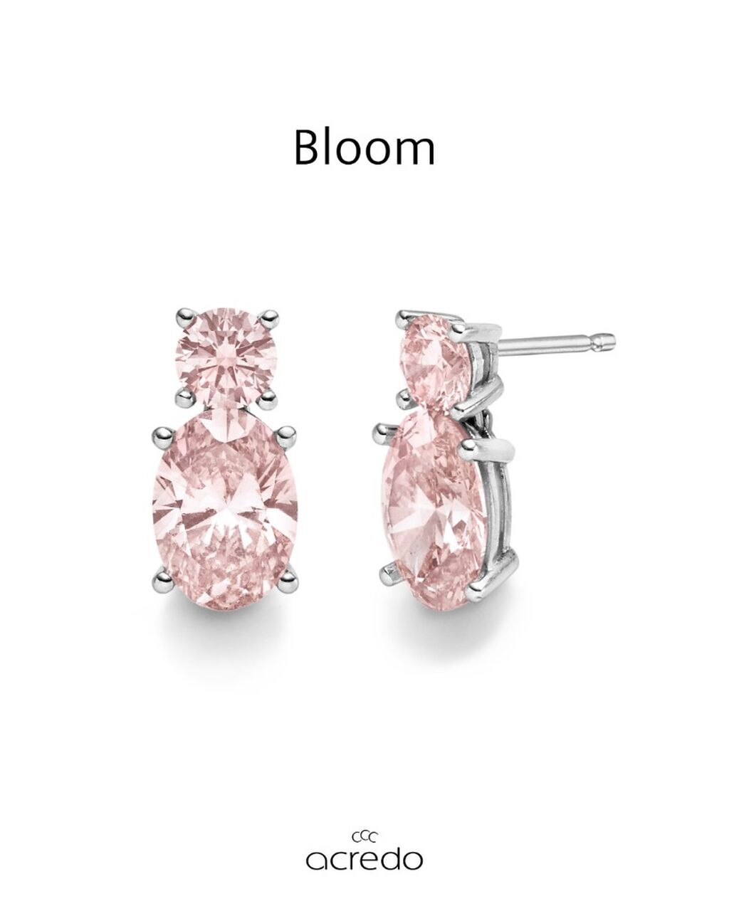 Bloom