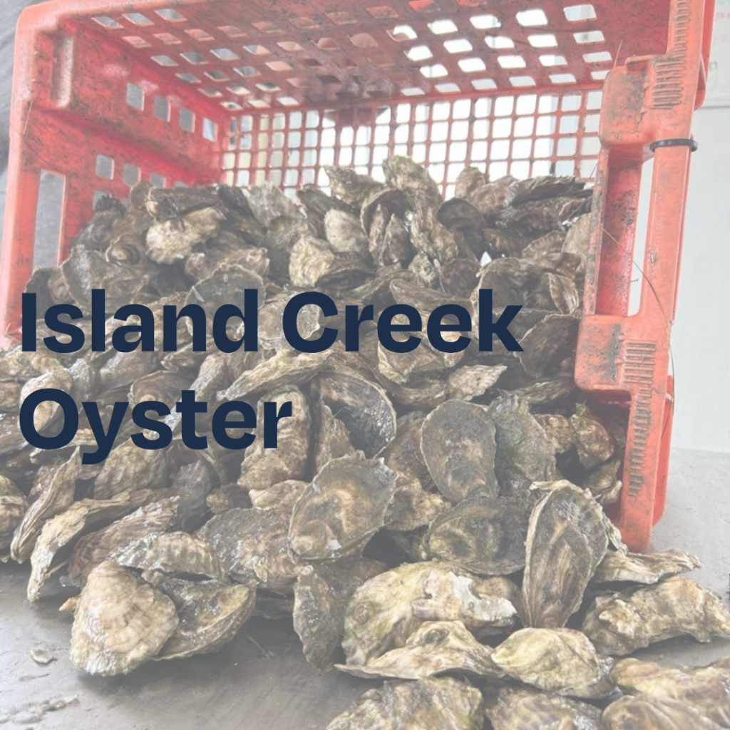 Island Creek Oyster Video