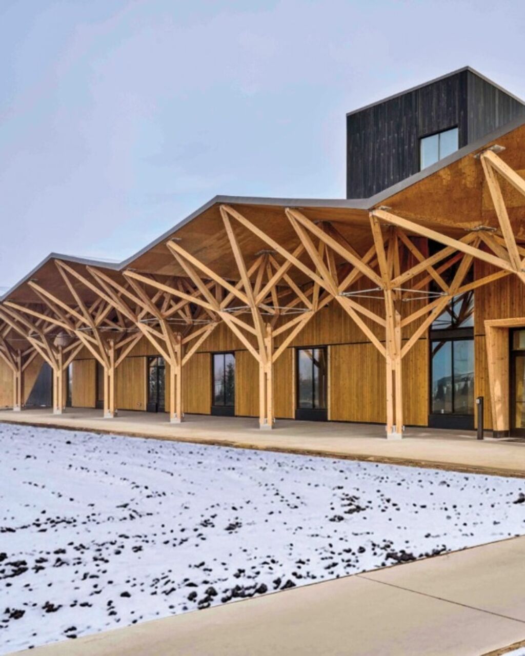 In Missoula, a Museum Grows from Timber and Memory