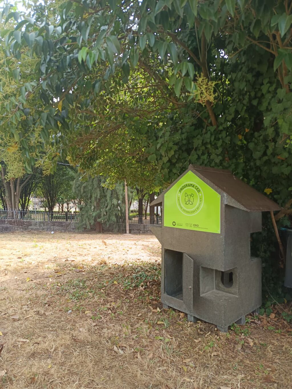 Guimar&atilde;es refor&ccedil;a bem-estar animal com mais abrigos para col&oacute;nias felinas