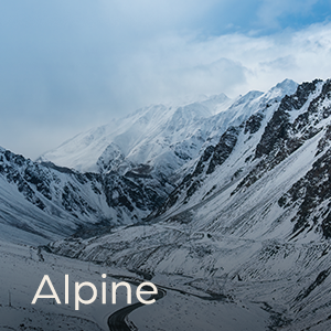 Alpine