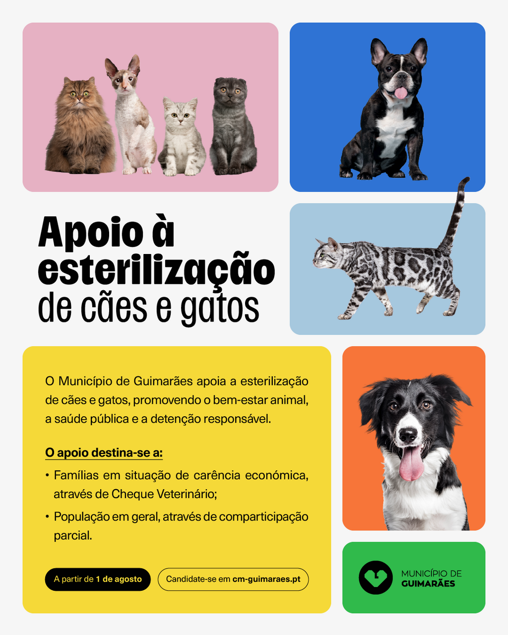 Munic&iacute;pio de Guimar&atilde;es avan&ccedil;a com apoio &agrave; esteriliza&ccedil;&atilde;o de animais de companhia