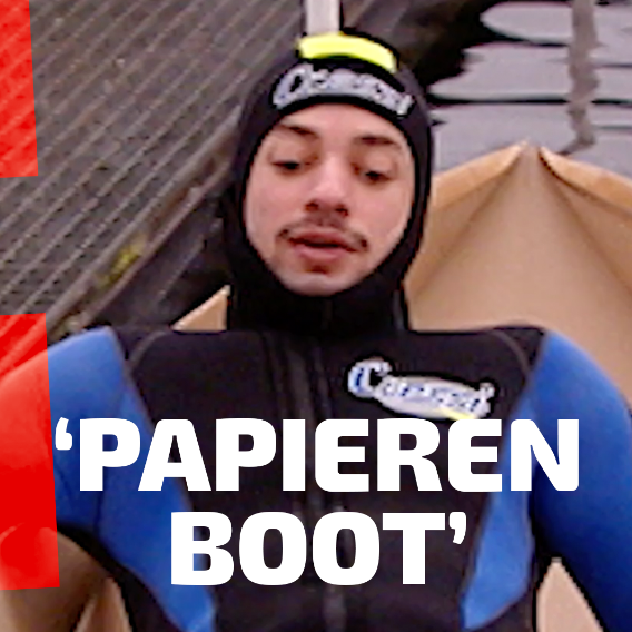 Proefkonijnen - Top 5