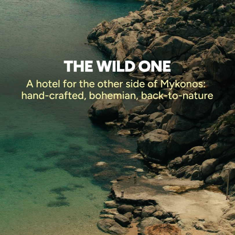 The Wild Hotel