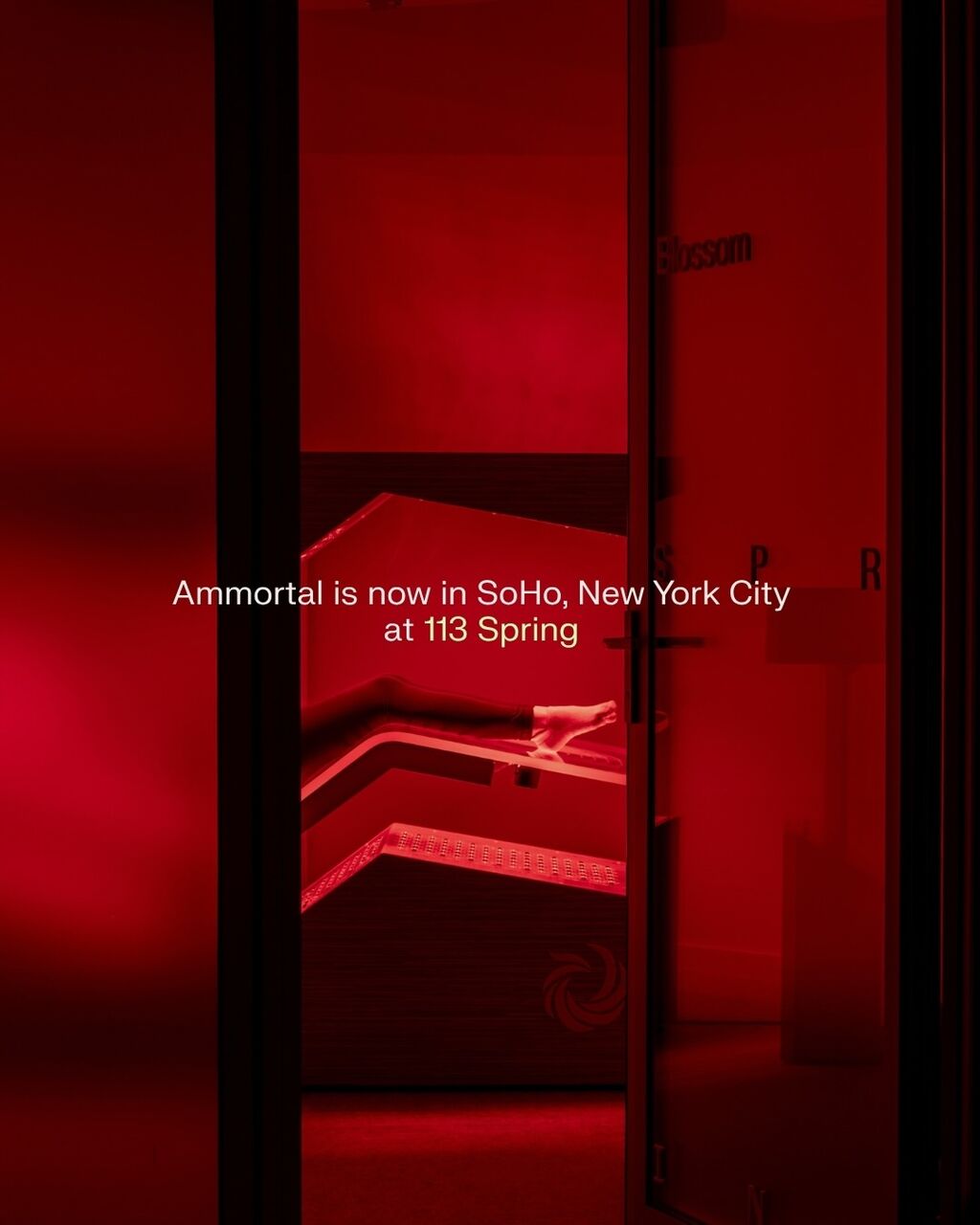 AMMORTAL: The Recalibration Room
