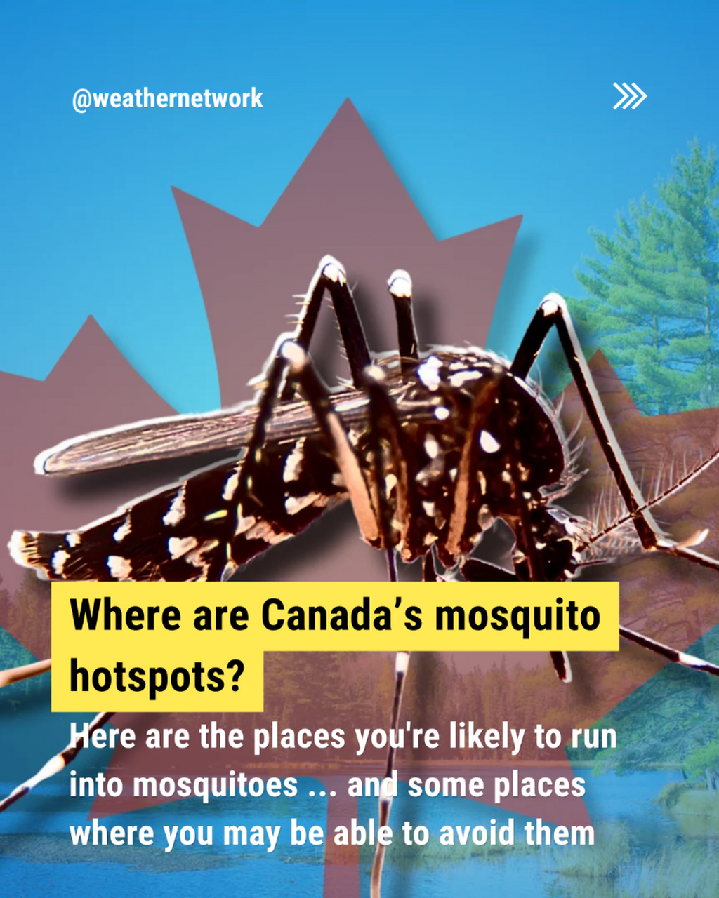 Where are Canada&rsquo;s mosquito hotspots?