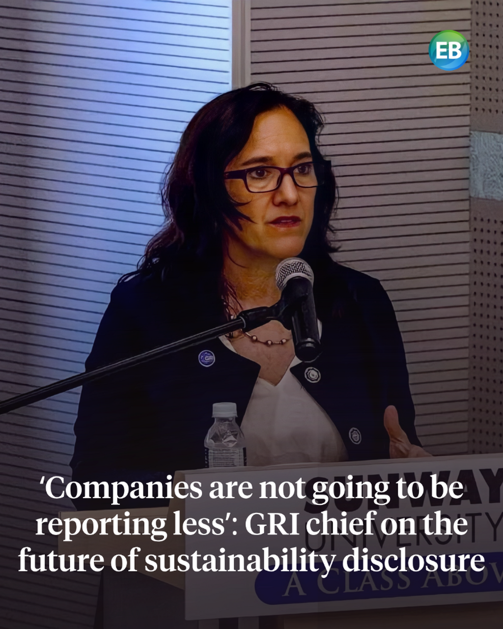 &lsquo;Companies are not going to be reporting less&rsquo;: GRI chief on the future of sustainability disclosure