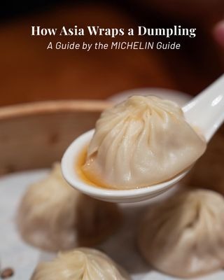 Dumplings around Asia
