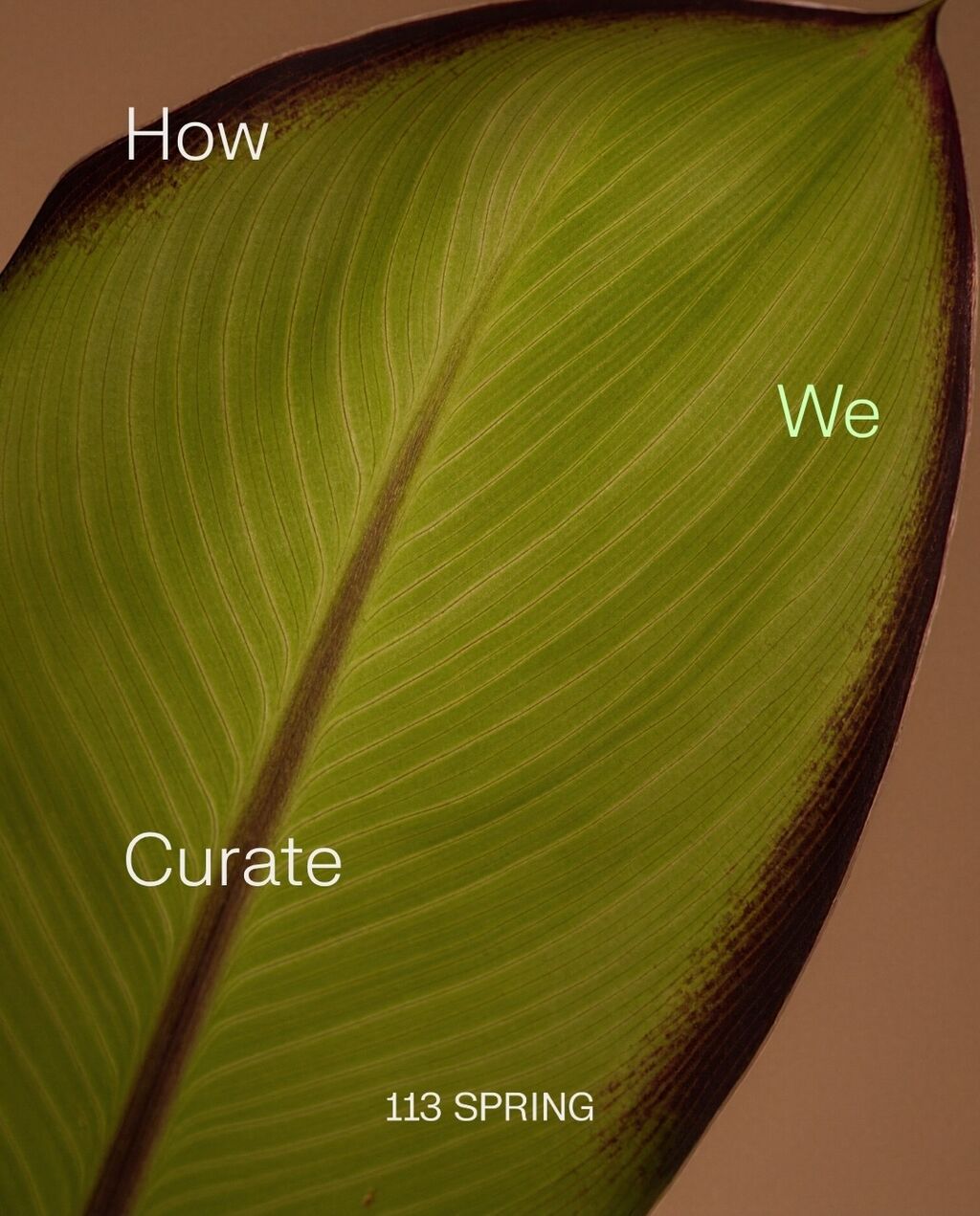 How We Curate