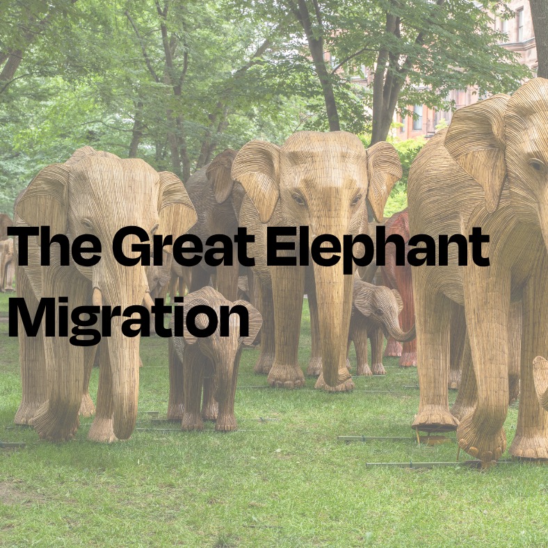 The Great Elephant Migration