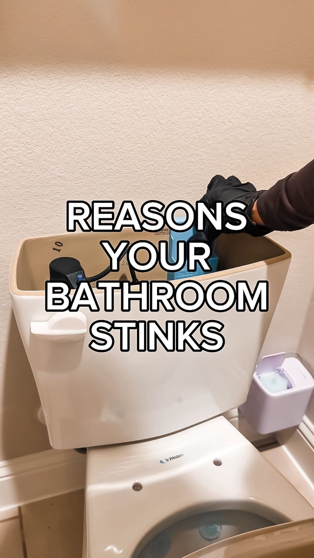 BATHROOM ODOR REMOVER
