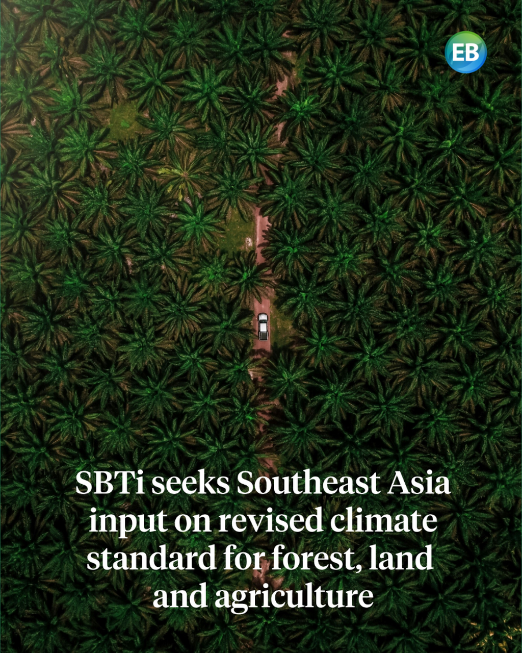 SBTi seeks Southeast Asia input on revised climate standard for forest, land and agriculture