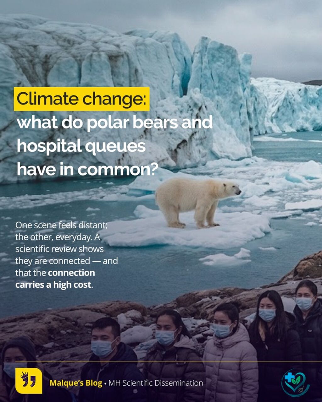 🐻&zwj;❄️🏥 What do polar bears and hospital queues have in common? More than you'd think. Swipe through &rarr;