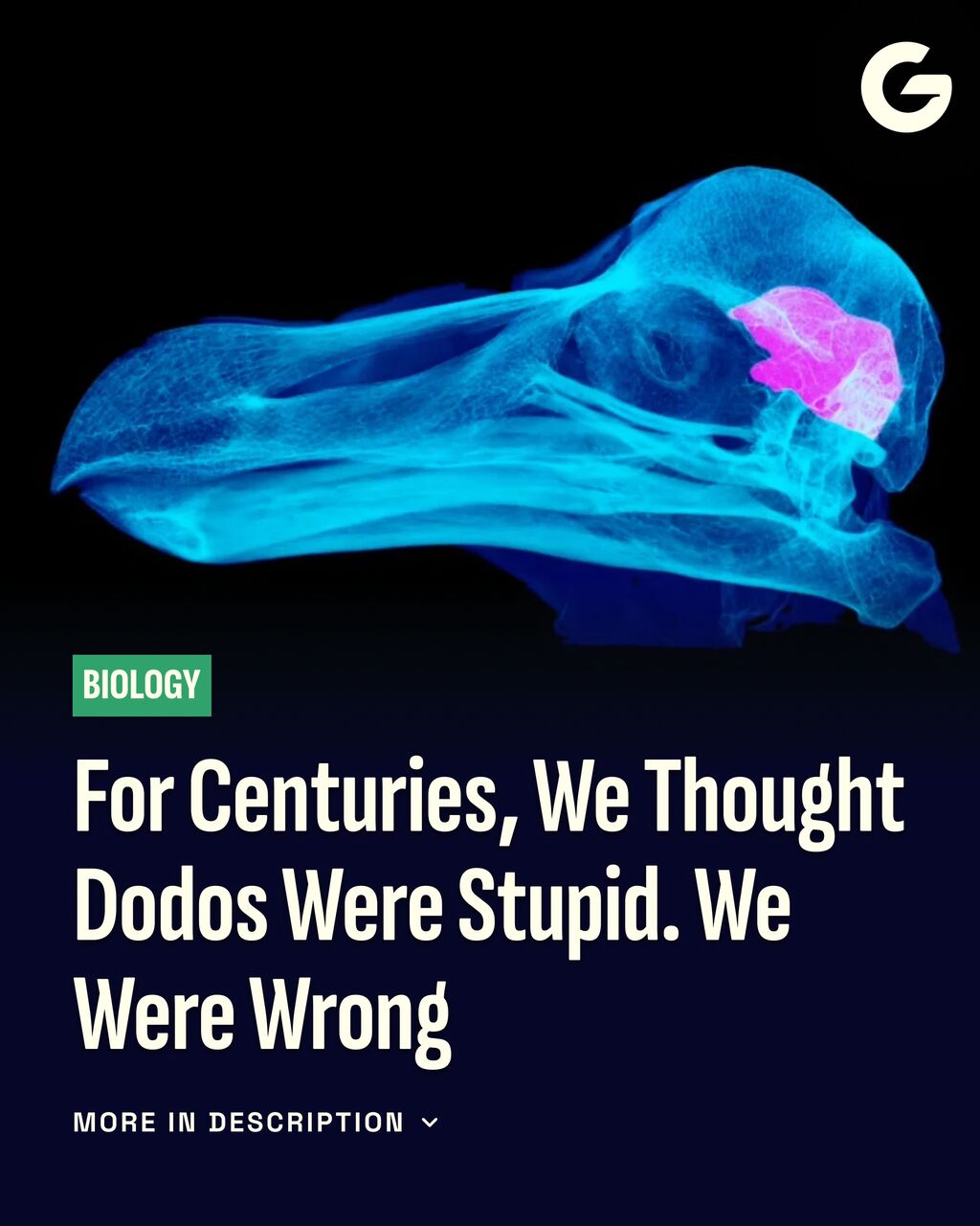 For Centuries, We Thought Dodos Were Stupid. We Were Wrong