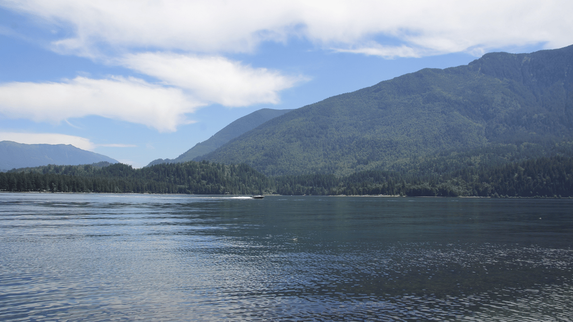 Police respond to &lsquo;possible drowning&rsquo; at Cultus Lake after youth suffers medical emergency