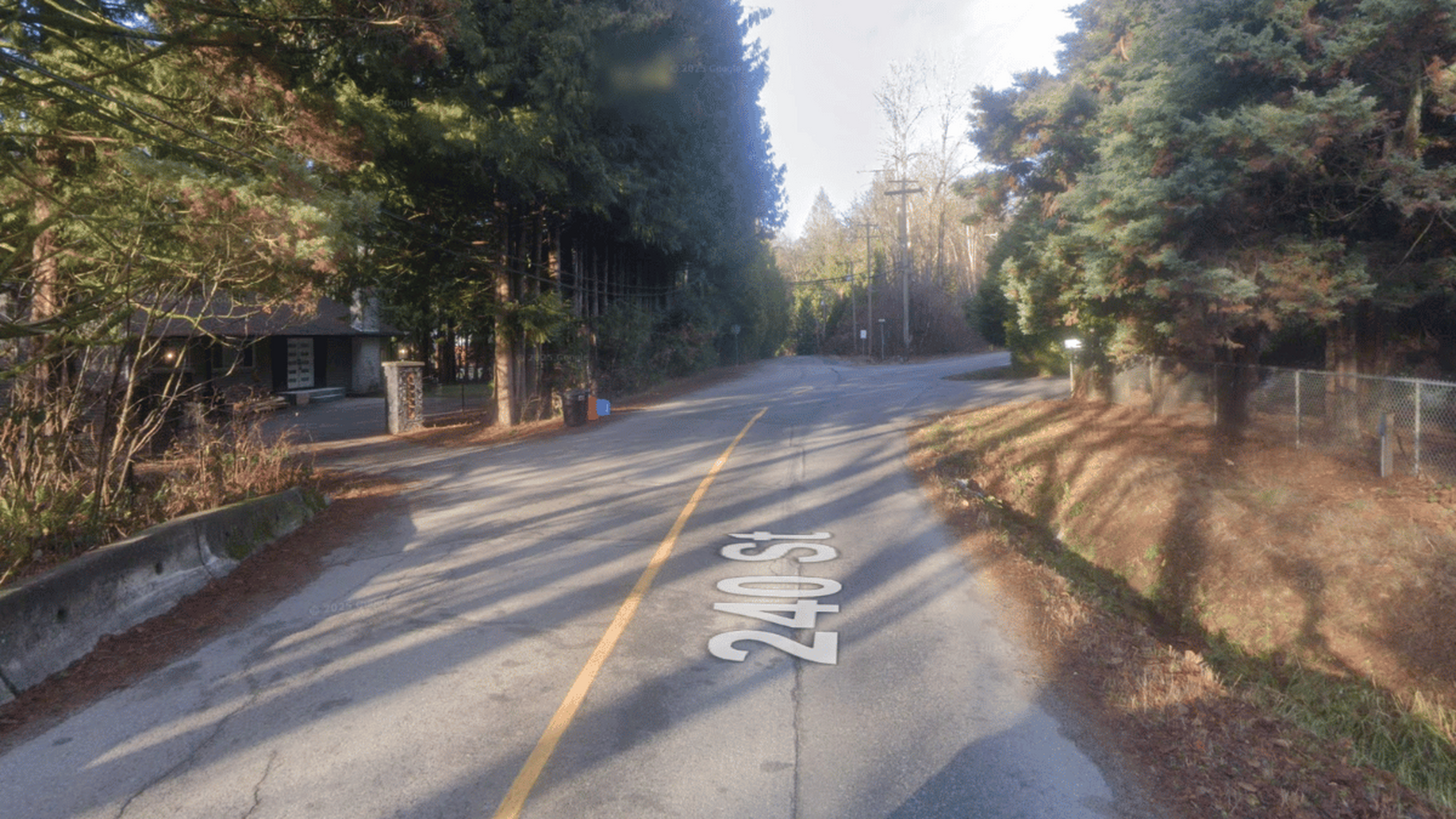 3-year-old airlifted to hospital after bear attack in Maple Ridge