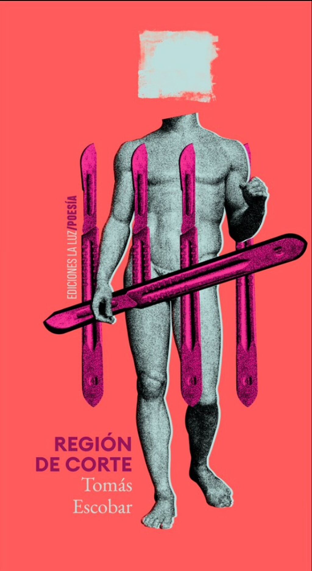 "Regi&oacute;n de corte", de Tom&aacute;s Escobar