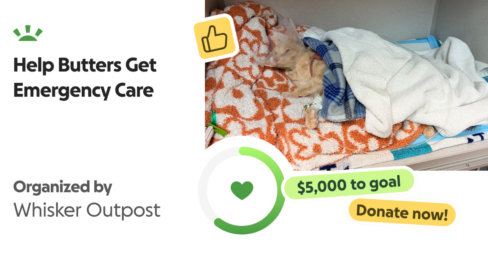 Donate to Help Butters Get Emergency Care