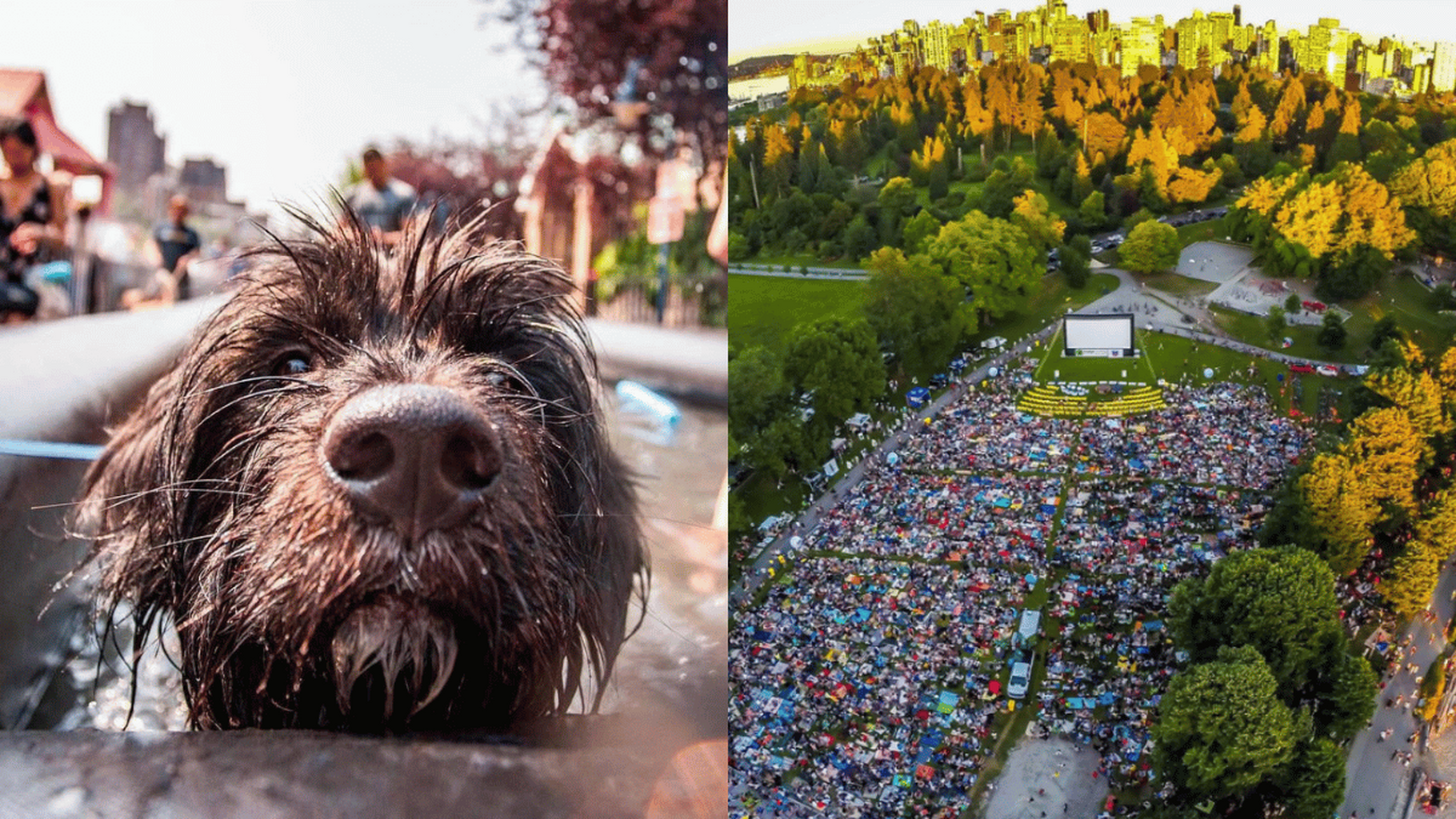 30+ fun and exciting things to do in Metro Vancouver this August