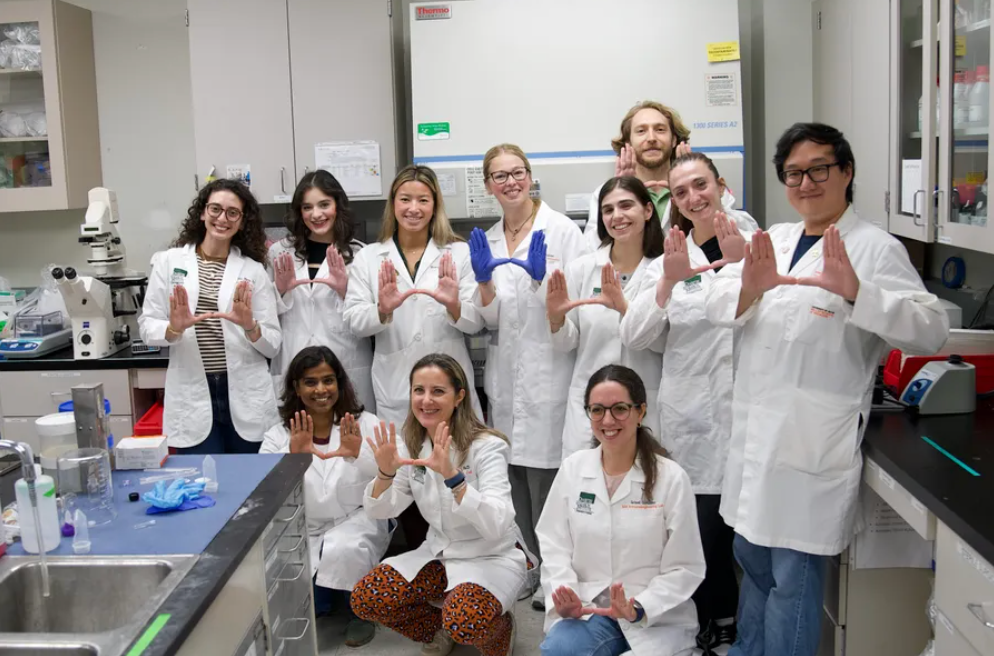 Engineering New Clues to Type 1 Diabetes at the Diabetes Research Institute - InventUM