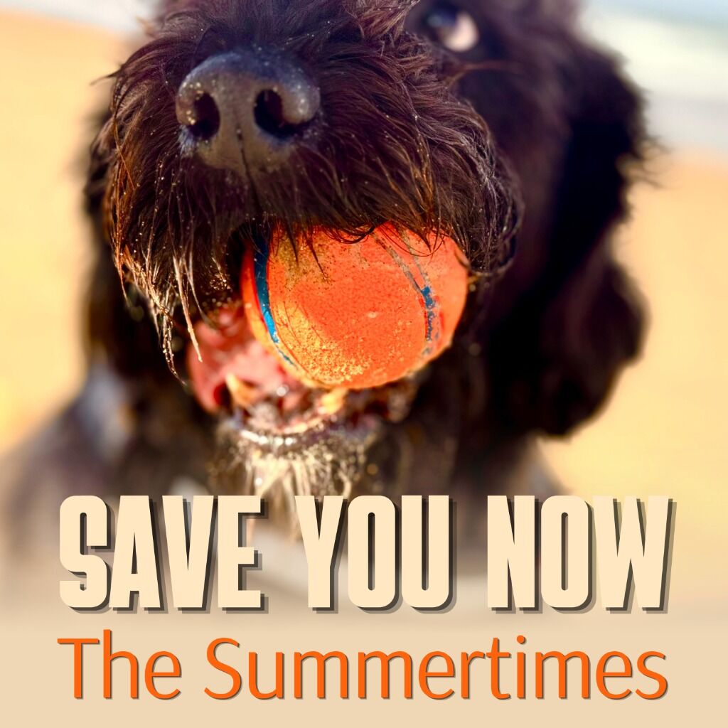 THE SUMMERTIMES - SAVE YOU NOW