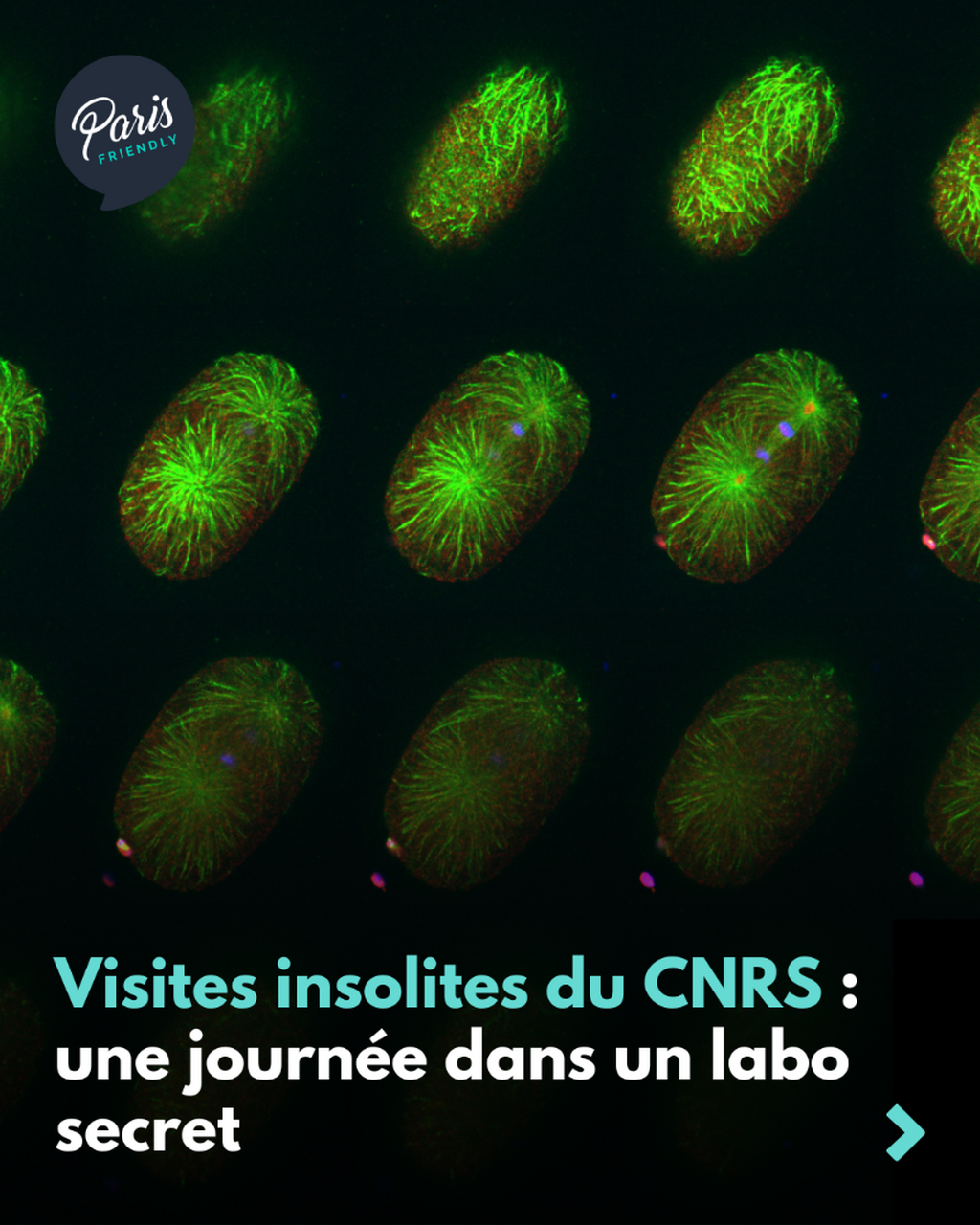 Visites insolites du CNRS : une journ&eacute;e dans un labo secret