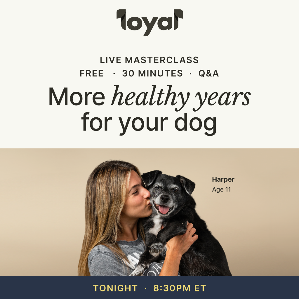 Register for the Healthy Aging Masterclass