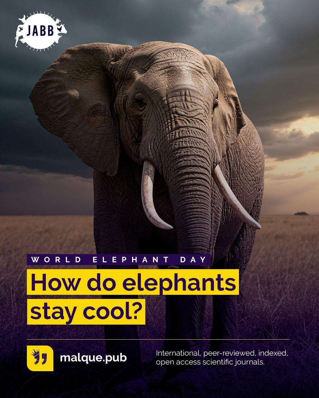 🐘 Happy World Elephant Day!