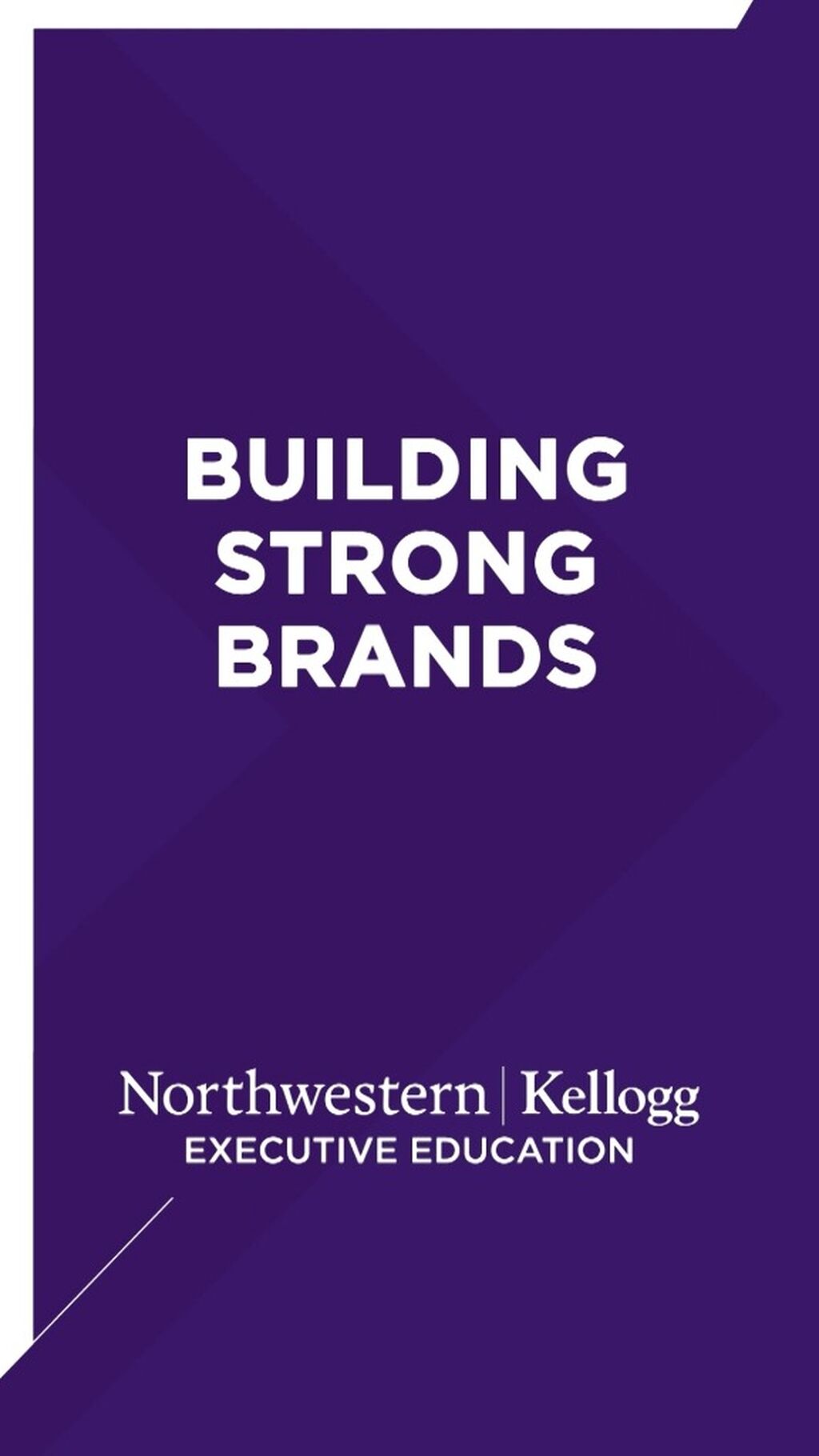 Building Strong Brands