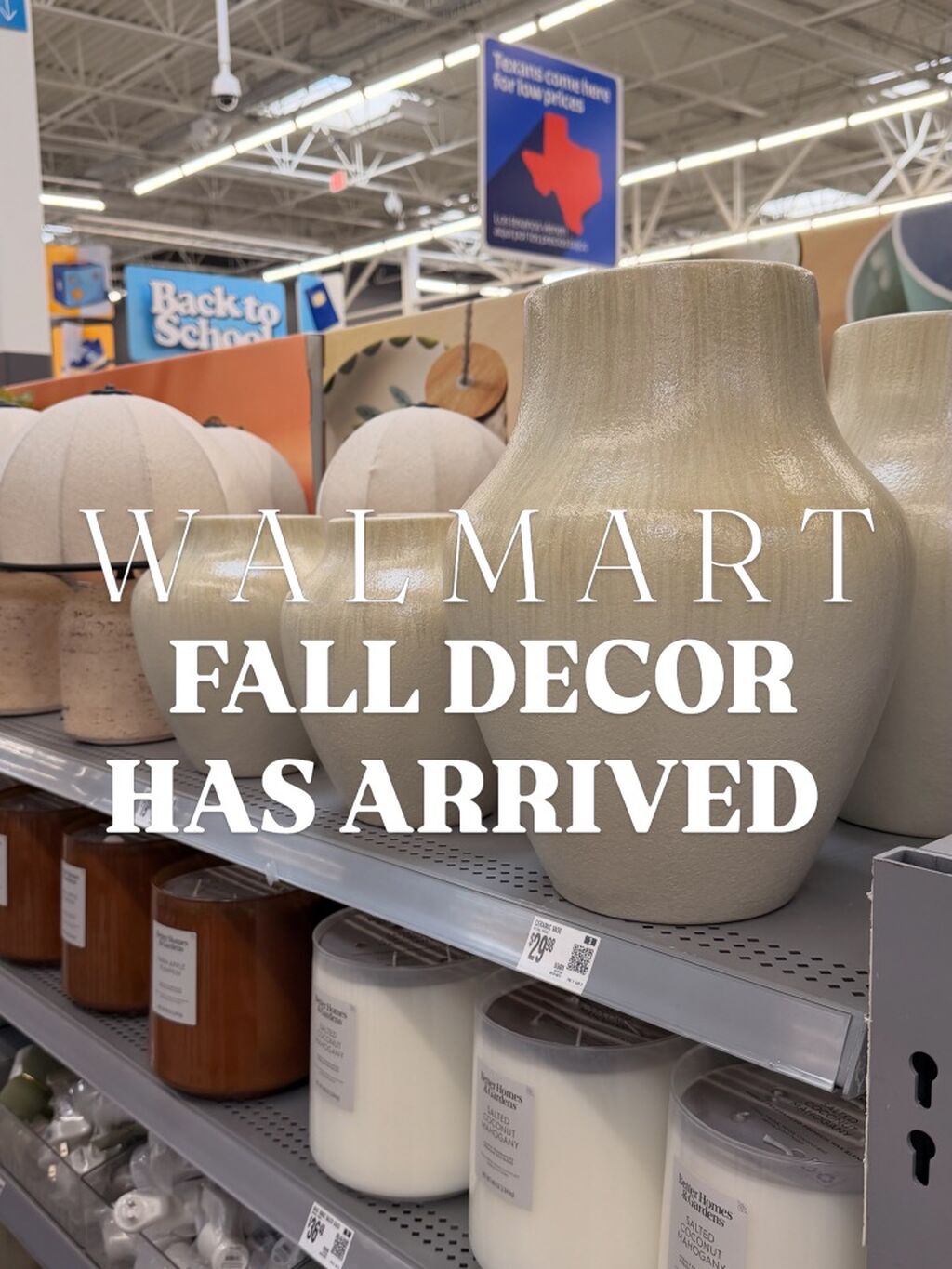 New fall finds 