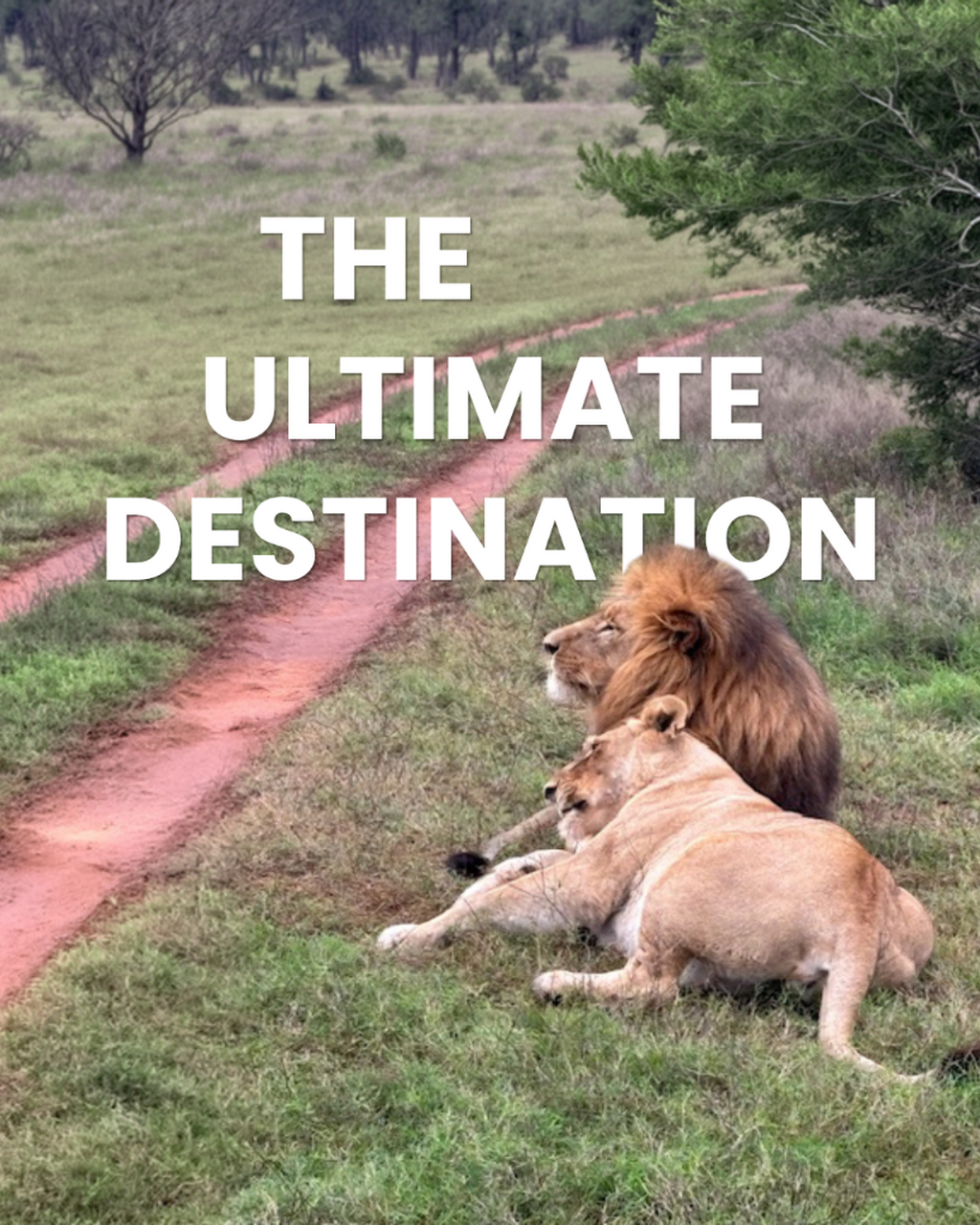 The ultimate destination