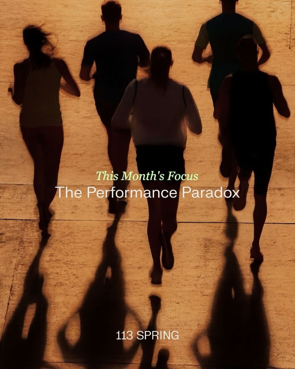 THE PERFORMANCE PARADOX