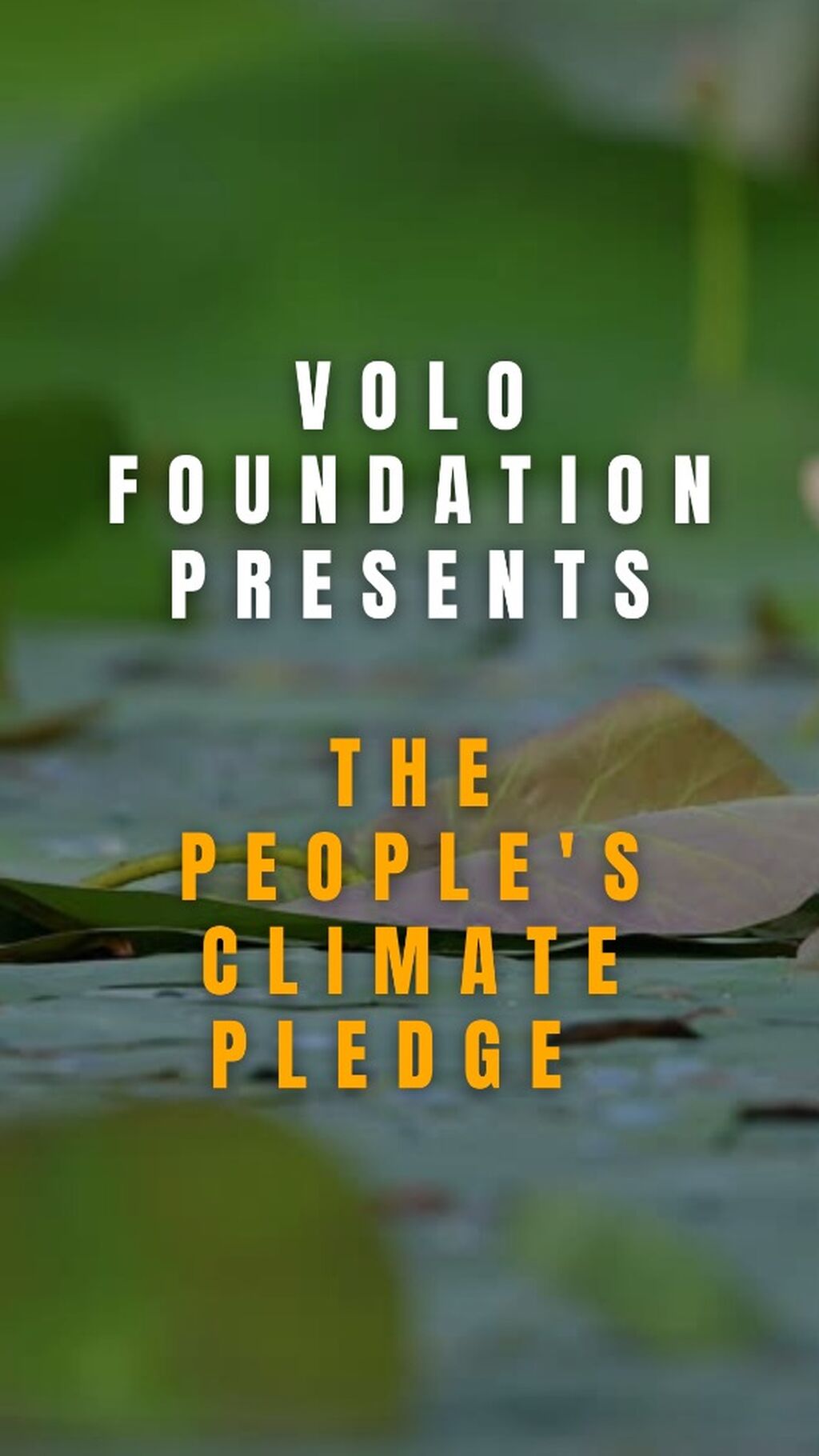 Sign the People's Climate Pledge! 