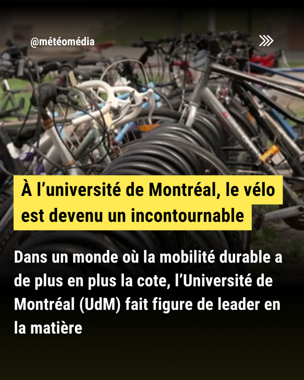 &Agrave; l&rsquo;universit&eacute; de Montr&eacute;al, le v&eacute;lo est devenu un incontournable