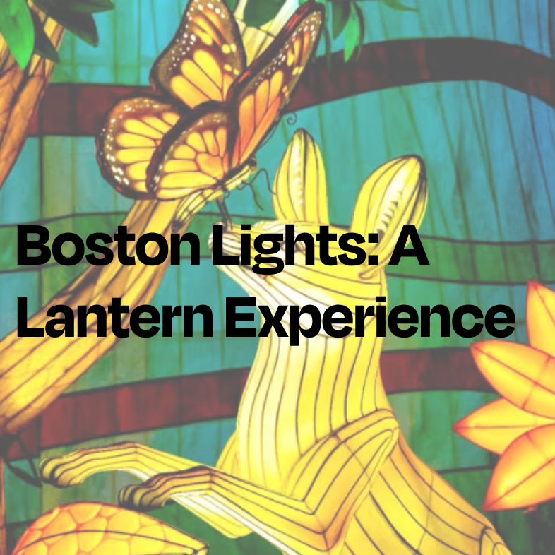 Boston Lights: A Lantern Experience